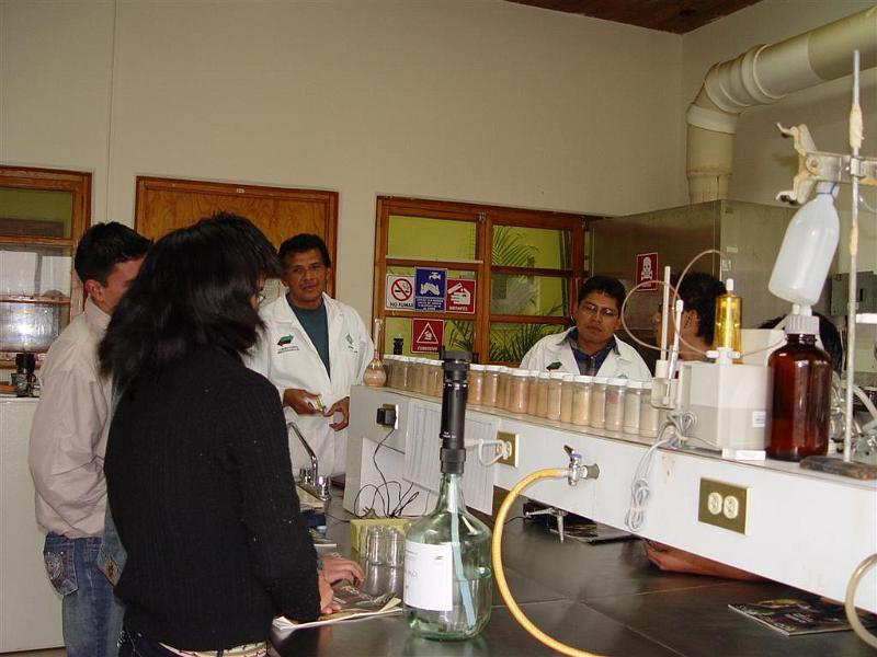 DSC02326 (Large).JPG